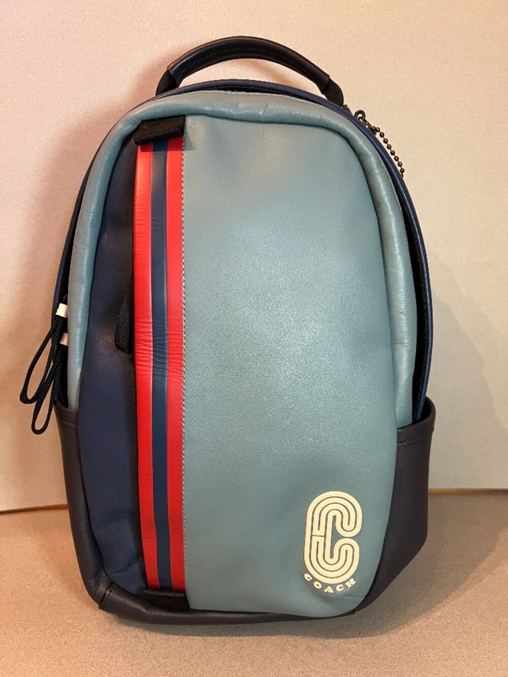 Coach Leather Edge Pack Backpack Sling Colorblock